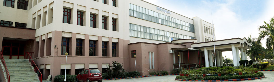 Large School Image