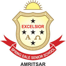 SPRINGDALE SENIOR SECONDARY SCHOOL