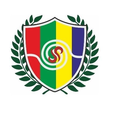 St. Soldier International School – Sector 28