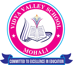 Vidya Valley School