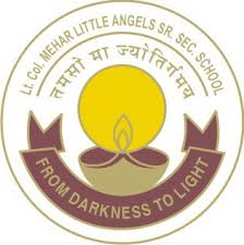 LT. COL. MEHAR LITTLE ANGELS SR SEC SCHOOL