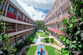 Large School Image