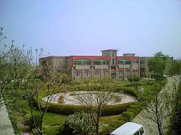 Large School Image