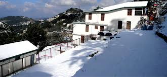 Large School Image