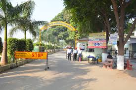 Large School Image