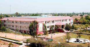 Large School Image