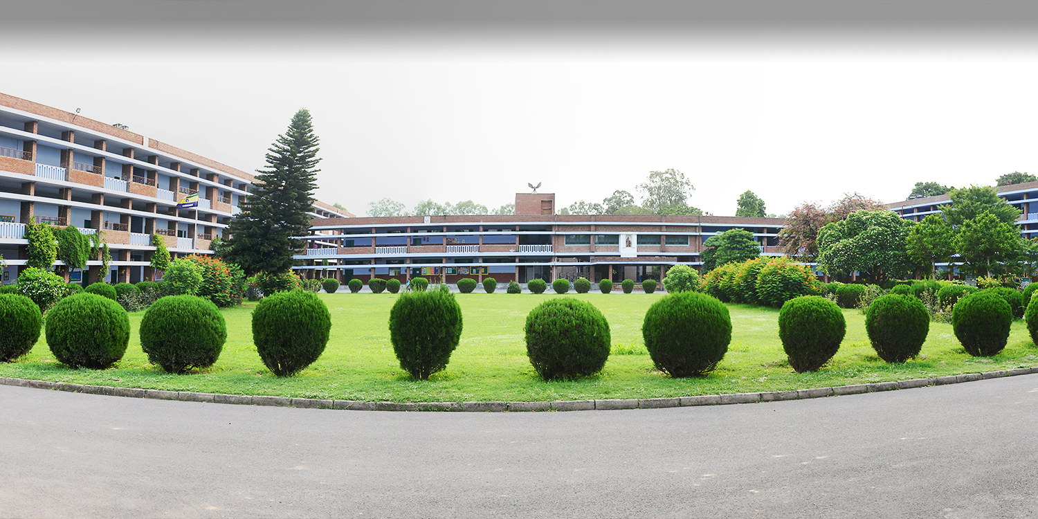 Large School Image