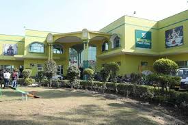 Large School Image