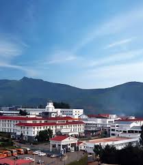 Large School Image
