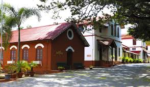 Large School Image