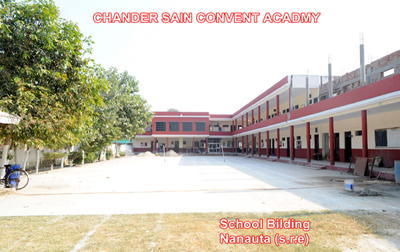 Large School Image