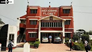 Large School Image