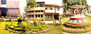 Large School Image