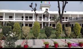 Large School Image
