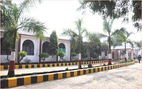 Large School Image