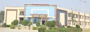 Large School Image