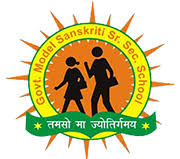 Government Model Sanskriti Sr. Sec. School, Raipur Rani
