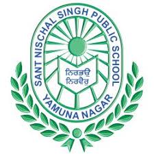 Sant Nischal Singh Public School