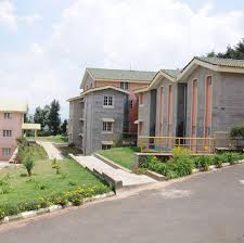 Large School Image