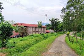 Large School Image