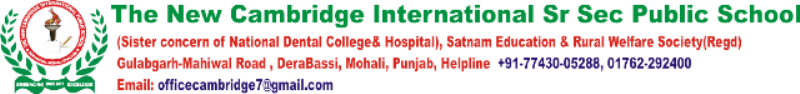 the new cambridge international public school