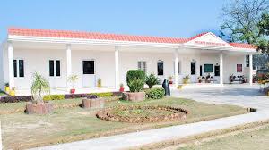 Large School Image