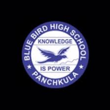 Blue Bird Model School, Sector 16