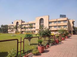 Large School Image