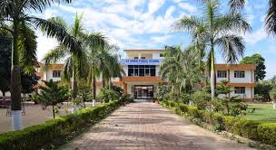 Large School Image